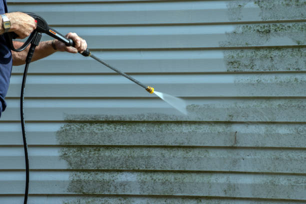 Best Solar Panel Cleaning  in Brushy Creek, TX